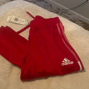 Adidas Track Pant